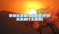 梦到买菜是什么意思(梦到买菜是什么意思)