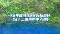 78年属马43岁大劫是什么(十二生肖命中大劫)