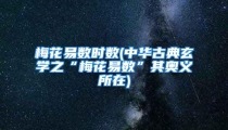 梅花易数时数(中华古典玄学之“梅花易数”其奥义所在)