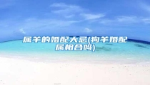 属羊的婚配大忌(狗羊婚配属相合吗)