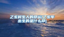 乙亥时生人的命运(乙亥年出生的是什么命)