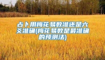 占卜用梅花易数准还是六爻准确(梅花易数是最准确的预测法)