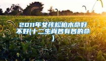 2011年女孩松柏木命好不好(十二生肖各有各的命)