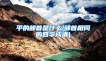 乎的部首是什么(部首相同的四字成语)