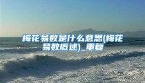 梅花易数是什么意思(梅花易数概述)_重复