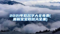 2021年取名字大全免费(最新宝宝取名大全集)
