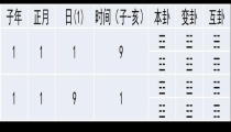 梅花易数第一人(梅花易数有多少卦象)