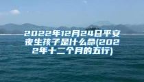 2022年12月24日平安夜生孩子是什么命(2022年十二个月的五行)