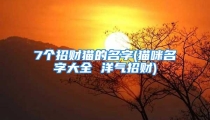 7个招财猫的名字(猫咪名字大全 洋气招财)