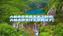 大林木命真的发不了财吗(大林木命生什么命的孩子)
