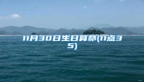11月30日生日算命(11点35)