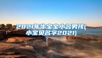 2021年牛宝宝小名男孩(小宝贝名字2021)