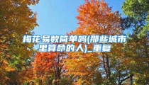 梅花易数简单吗(那些城市里算命的人)_重复