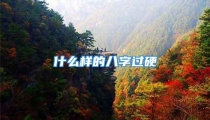 什么样的八字过硬