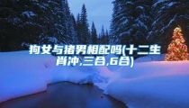 狗女与猪男相配吗(十二生肖冲,三合,6合)