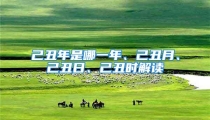 己丑年是哪一年、己丑月、己丑日、己丑时解读