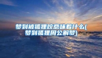 梦到被狐狸咬意味着什么(梦到狐狸周公解梦)