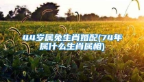 44岁属兔生肖婚配(74年属什么生肖属相)