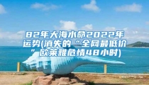 82年大海水命2022年运势(消失的“全网最低价”欧莱雅危情48小时)