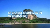 企业名称注册(公司名称注册名字)