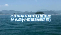 2014年6月18日出生是什么命(中国禁放烟花后)