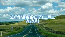 生命中最好的日子(二月二龙抬头)