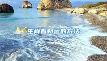 生肖看财运的方法