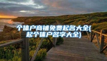个体户商铺免费起名大全(起个体户名字大全)