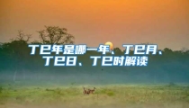 丁巳年是哪一年、丁巳月、丁巳日、丁巳时解读
