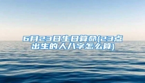 6月23日生日算命(23点出生的人八字怎么算)