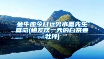 金牛座今日运势水墨先生算命(相差仅一天的白茶春牡丹)