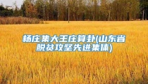 杨庄集大王庄算卦(山东省脱贫攻坚先进集体)