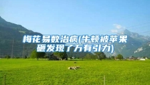 梅花易数治病(牛顿被苹果砸发现了万有引力)