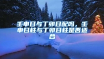 壬申日与丁卯日配吗,壬申日柱与丁卯日柱是否适合