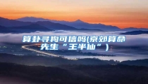 算卦寻狗可信吗(京郊算命先生“王半仙”)