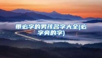 带必字的男孩名字大全(必字旁的字)