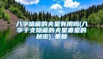 八字暗藏的夫星有用吗(八字干支隐藏的夫星妻星的秘密)_重复