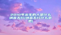2010年出生的人是什么纳音五行(纳音五行什么意思)
