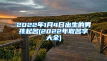 2022年1月4日出生的男孩起名(2022年取名字大全)