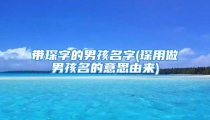 带琛字的男孩名字(琛用做男孩名的意思由来)