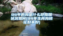94年的狗是什么命婚姻状况如何(94年生肖狗桃花好不好)