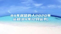 84年属鼠的人2020年运程(84年12月运势)