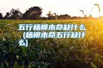 五行杨柳木命缺什么 (杨柳木命五行缺什么)