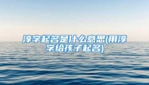 淳字起名是什么意思(用淳字给孩子起名)