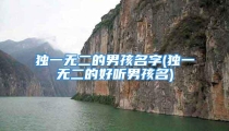 独一无二的男孩名字(独一无二的好听男孩名)