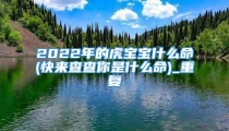 2022年的虎宝宝什么命(快来查查你是什么命)_重复