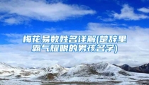 梅花易数姓名详解(楚辞里霸气耀眼的男孩名字)