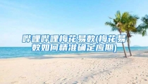 哔哩哔哩梅花易数(梅花易数如何精准确定应期)