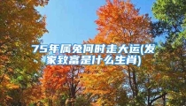 75年属兔何时走大运(发家致富是什么生肖)