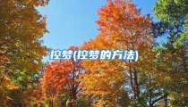 控梦(控梦的方法)